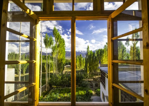 Wood Window Replacement in Avon